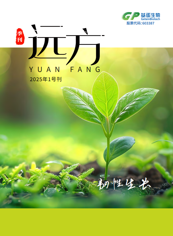 2025年 第一期